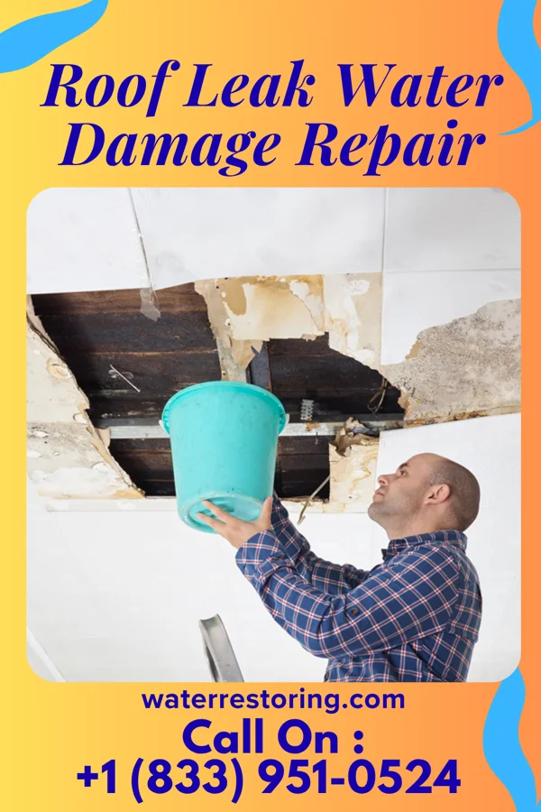 Roof Leak Water Damage Repair in Carmichaels, PA