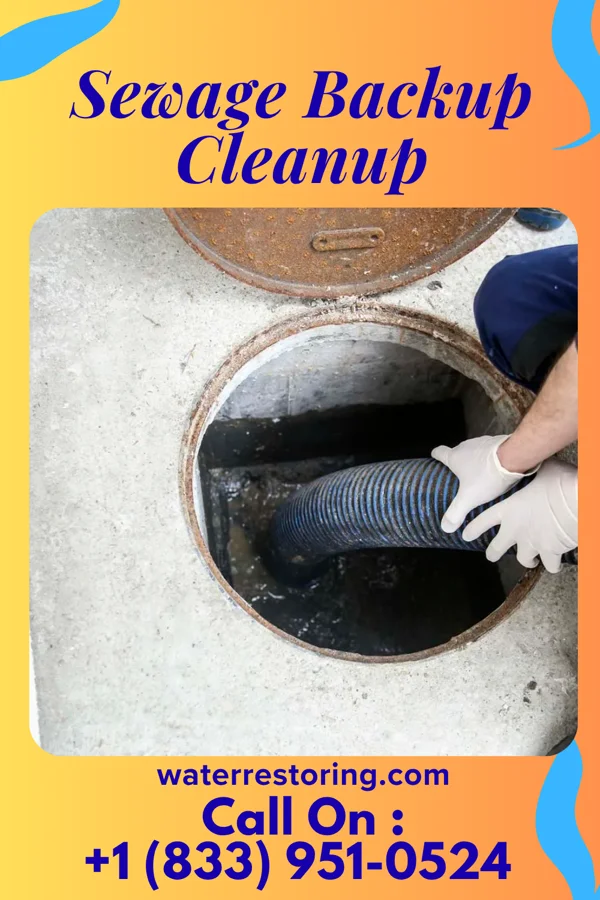 Sewage Backup Cleanup in Carmichaels, PA