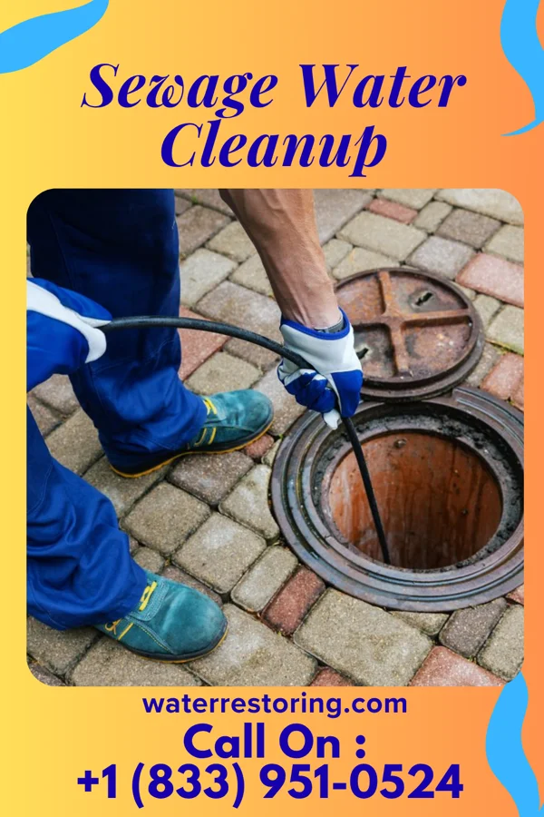 Sewage Water Cleanup in Carmichaels, PA